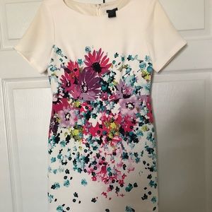 Ann Taylor Dress
